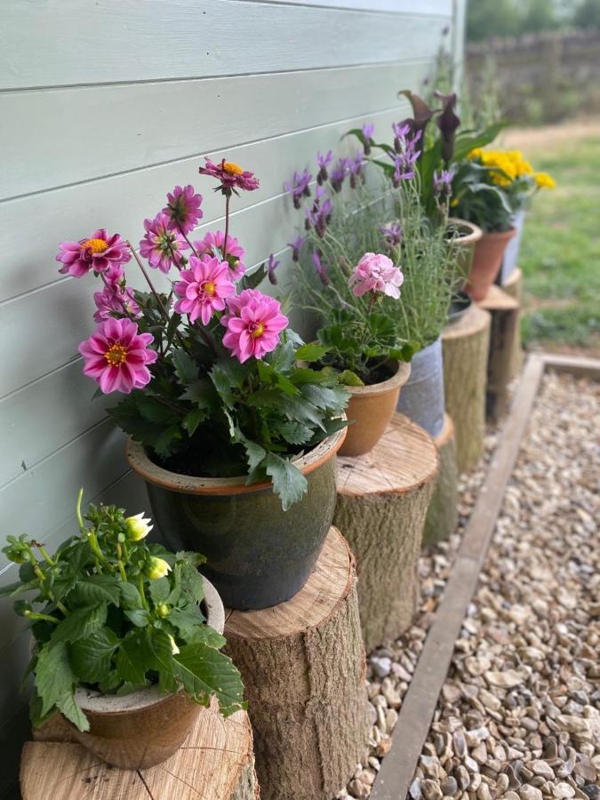 Cosy Cotswolds Self-Contained One Bedroom Cottage Chipping Norton Zewnętrze zdjęcie